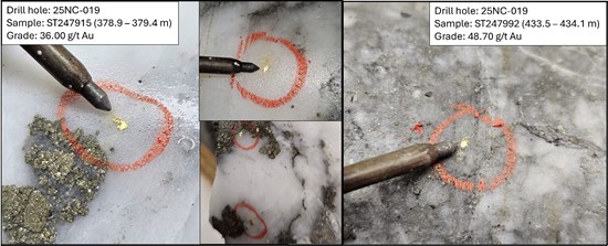 Cannot view this image? Visit: https://images.newsfilecorp.com/files/2958/281372_a3e3a725b491aa8a_006.jpg