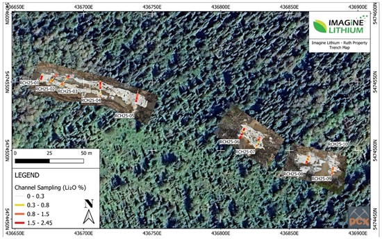 Cannot view this image? Visit: https://images.newsfilecorp.com/files/2962/280798_imaglithfig02_550.jpg