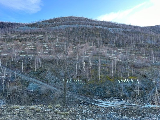 Cannot view this image? Visit: https://images.newsfilecorp.com/files/3268/272153_cb2b025e9441bbe9_002.jpg