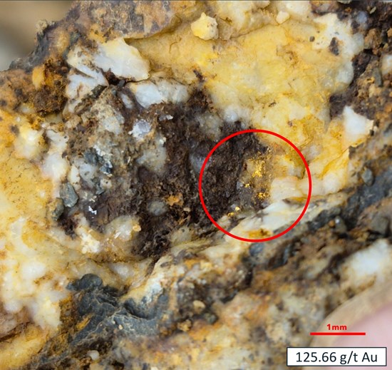 Cannot view this image? Visit: https://images.newsfilecorp.com/files/3398/273904_48ae23a92497c92b_003.jpg