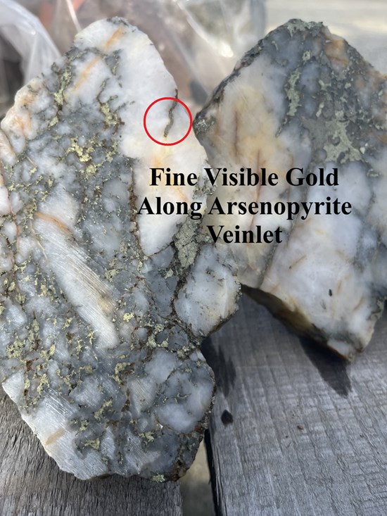 Cannot view this image? Visit: https://images.newsfilecorp.com/files/3615/272428_4fef14e3d4768948_001.jpg