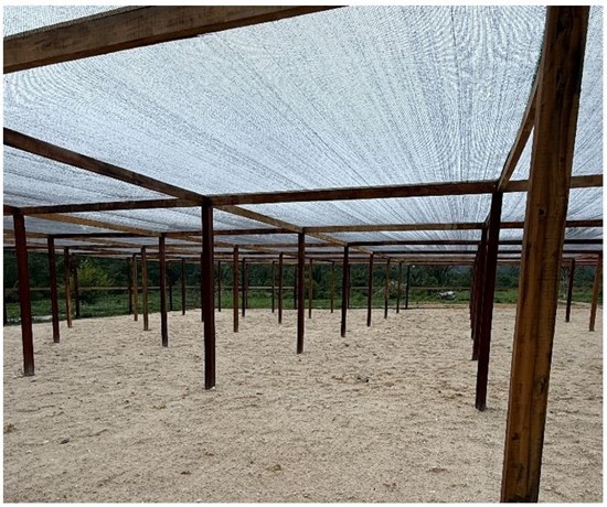 Cannot view this image? Visit: https://images.newsfilecorp.com/files/3900/278323_cabralimg5_550.jpg