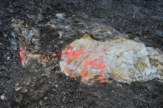 Cannot view this image? Visit: https://images.newsfilecorp.com/files/4873/273067_6bfb2a9da4748848_004.jpg