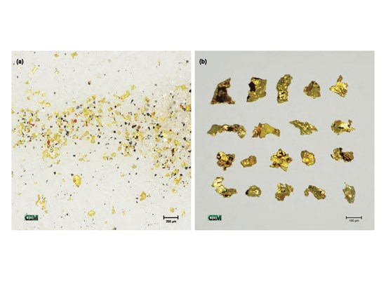 Cannot view this image? Visit: https://images.newsfilecorp.com/files/5023/272865_957240c8e4c809c6_003.jpg