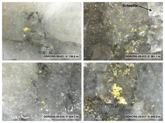 Cannot view this image? Visit: https://images.newsfilecorp.com/files/6144/273403_dfa0c8e4f47f0822_011.jpg