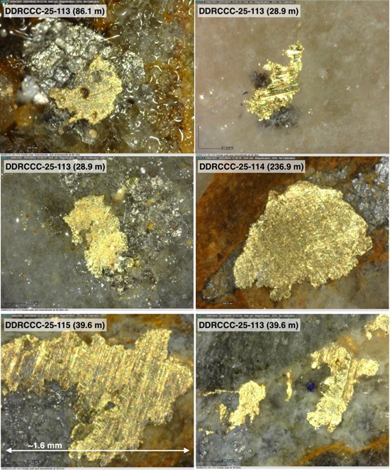 Cannot view this image? Visit: https://images.newsfilecorp.com/files/6144/274133_fc8a8fb4f4ed5acf_006.jpg