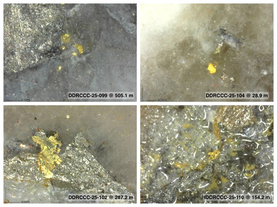 Cannot view this image? Visit: https://images.newsfilecorp.com/files/6144/275848_ed41703d74ea7b6f_004.jpg