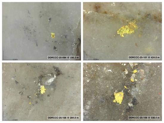 Cannot view this image? Visit: https://images.newsfilecorp.com/files/6144/276604_9e84119d549e4a7b_007.jpg