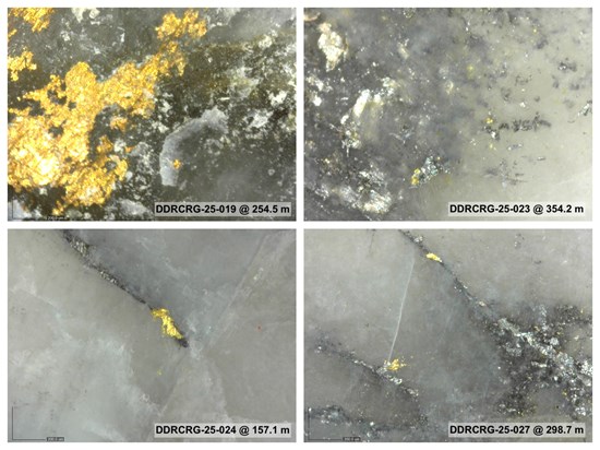 Cannot view this image? Visit: https://images.newsfilecorp.com/files/6144/279569_07ba13bff4412a85_006.jpg