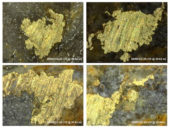 Cannot view this image? Visit: https://images.newsfilecorp.com/files/6144/280847_e4e4cdd1a47fd970_003.jpg