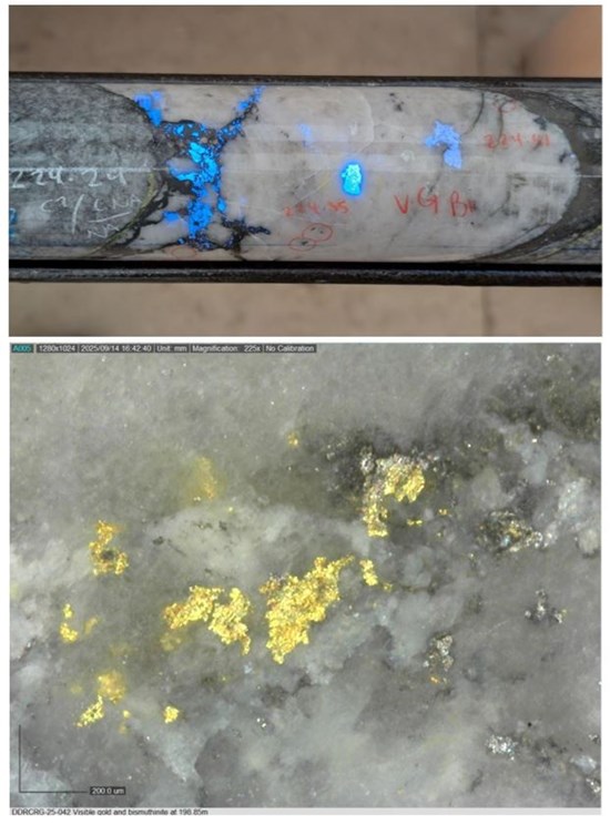 Cannot view this image? Visit: https://images.newsfilecorp.com/files/6144/292663_ryanfig8_550.jpg