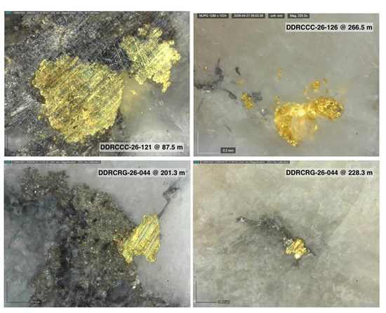 Cannot view this image? Visit: https://images.newsfilecorp.com/files/6144/294865_9c87a6ce64a1e924_001.jpg