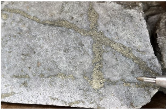 Cannot view this image? Visit: https://images.newsfilecorp.com/files/6187/274871_intrepid3_550.jpg