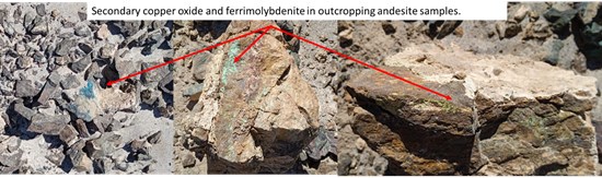 Cannot view this image? Visit: https://images.newsfilecorp.com/files/6456/274315_5dcf3ee2c45818d5_007.jpg