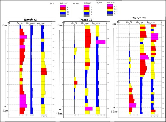 Cannot view this image? Visit: https://images.newsfilecorp.com/files/6456/287687_5948ca81b4e1dab1_003.jpg