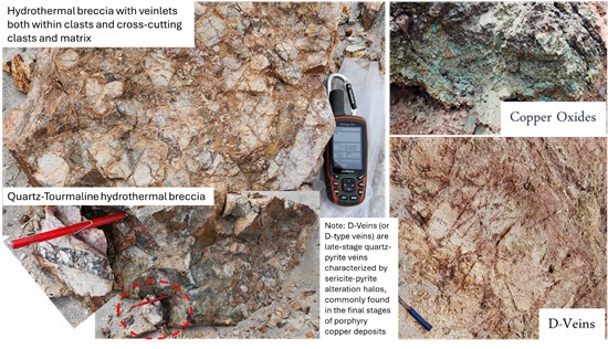 Cannot view this image? Visit: https://images.newsfilecorp.com/files/6456/291881_dcf9489a045b59f7_010.jpg