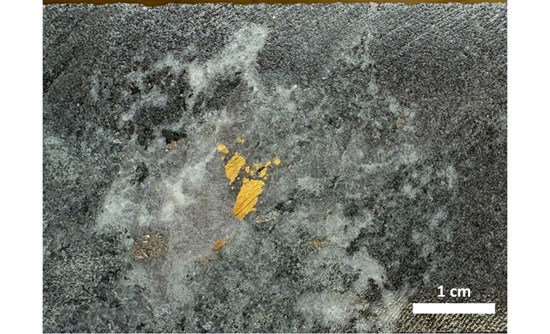 Cannot view this image? Visit: https://images.newsfilecorp.com/files/6489/281017_73f31684540f2899_002.jpg