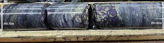 Cannot view this image? Visit: https://images.newsfilecorp.com/files/6839/288163_c8089226d4c029fd_006.jpg