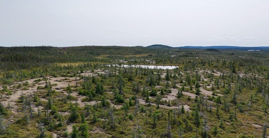 Cannot view this image? Visit: https://images.newsfilecorp.com/files/6963/280485_11877b5644b768b3_003.jpg