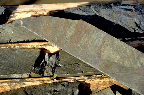 Cannot view this image? Visit: https://images.newsfilecorp.com/files/7335/288279_83ed330254ee1994_005.jpg