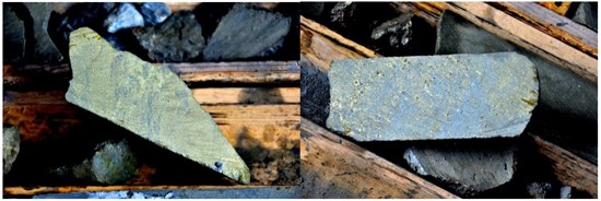 Cannot view this image? Visit: https://images.newsfilecorp.com/files/7335/290984_figure1_550.jpg