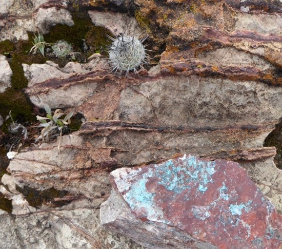 Cannot view this image? Visit: https://images.newsfilecorp.com/files/7414/285611_d61e930b44fc79c4_006.jpg