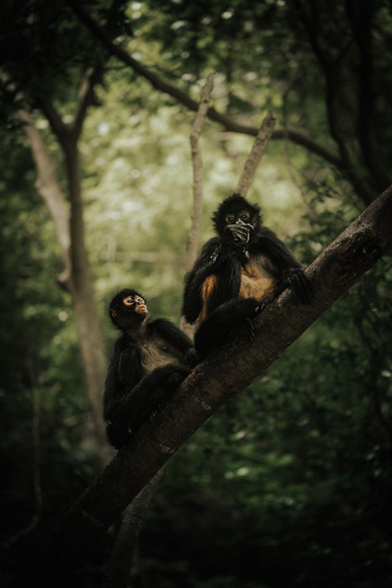 Cannot view this image? Visit: https://images.newsfilecorp.com/files/7768/291987_87be5c4ff43a8952_002.jpg