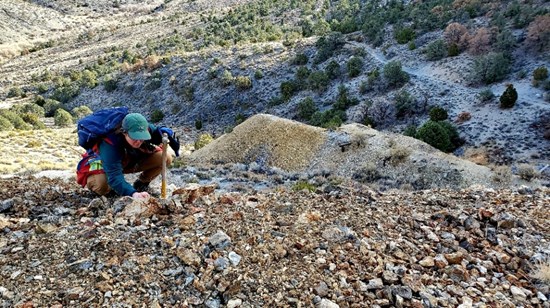 Cannot view this image? Visit: https://images.newsfilecorp.com/files/7895/285719_624cf69f3488daeb_002.jpg