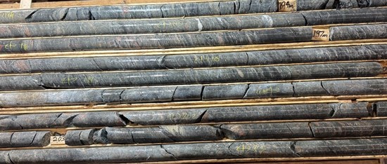 Cannot view this image? Visit: https://images.newsfilecorp.com/files/7968/292134_fc8988d66470db53_021.jpg