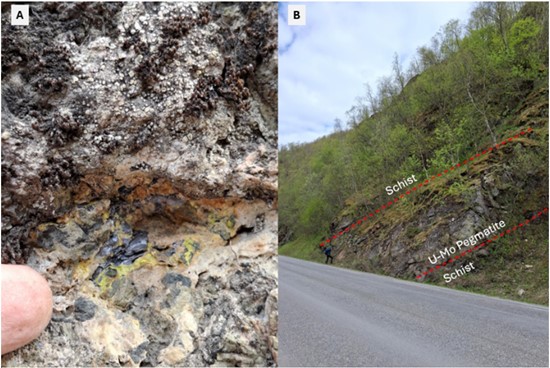 Cannot view this image? Visit: https://images.newsfilecorp.com/files/8258/276172_teako5.jpg