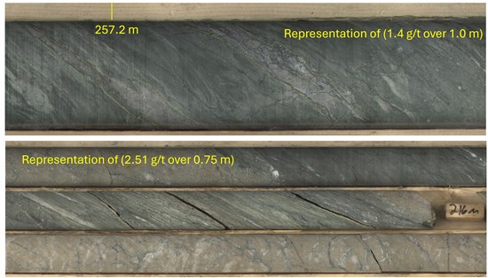 Cannot view this image? Visit: https://images.newsfilecorp.com/files/8461/284979_310cc806446f1b26_003.jpg