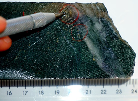 Cannot view this image? Visit: https://images.newsfilecorp.com/files/8461/294232_5378b748442d7ba2_002.jpg