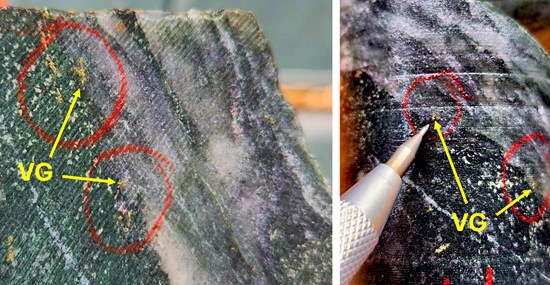 Cannot view this image? Visit: https://images.newsfilecorp.com/files/8461/294232_5378b748442d7ba2_003.jpg