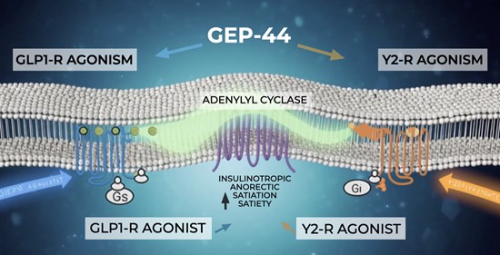 Cannot view this image? Visit: https://images.newsfilecorp.com/files/8490/294091_65f03f2944a34af8_001.jpg