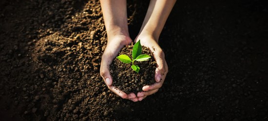 Cannot view this image? Visit: https://images.newsfilecorp.com/files/8530/274145_581970adb47dfbe2_002.jpg