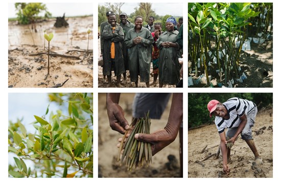 Cannot view this image? Visit: https://images.newsfilecorp.com/files/8530/274145_581970adb47dfbe2_003.jpg