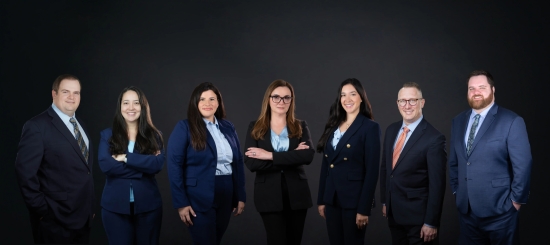 Cannot view this image? Visit: https://images.newsfilecorp.com/files/8568/289033_figure1_550.jpg