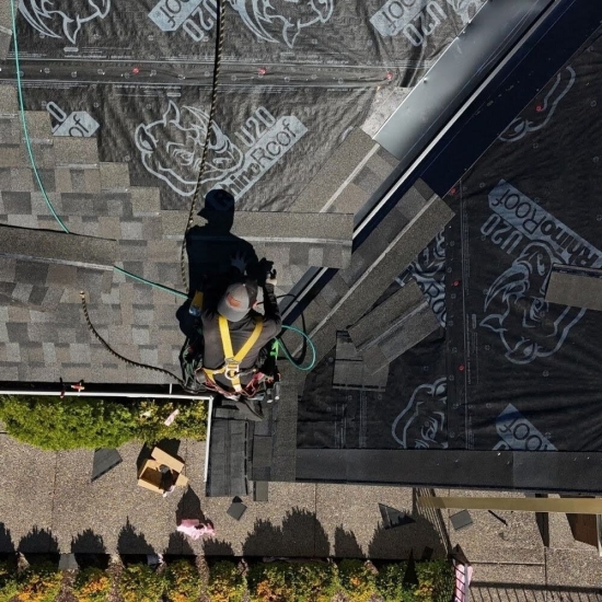 Cannot view this image? Visit: https://images.newsfilecorp.com/files/8568/295493_figure3_550.jpg