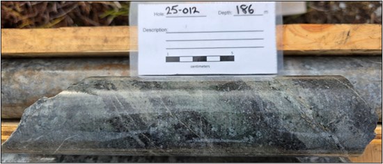 Cannot view this image? Visit: https://images.newsfilecorp.com/files/8680/274732_484feb14e4154afc_004.jpg