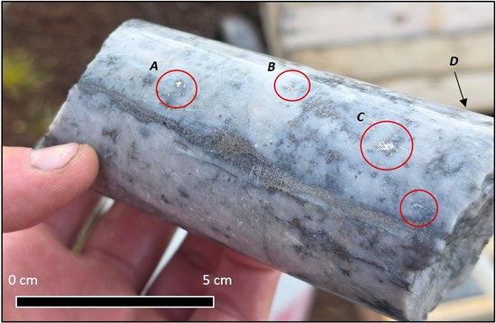 Cannot view this image? Visit: https://images.newsfilecorp.com/files/8680/275268_2c6a88b9347e5b02_003.jpg