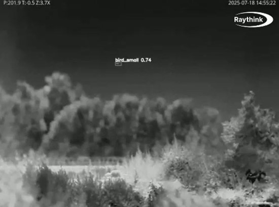 Cannot view this image? Visit: https://images.newsfilecorp.com/files/8703/276441_raythink2_550.jpg