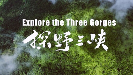 Cannot view this image? Visit: https://images.newsfilecorp.com/files/8722/282352_3dea90b2f4411ac9_001.jpg