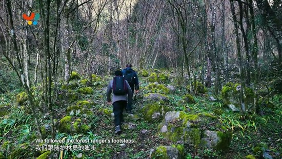 Cannot view this image? Visit: https://images.newsfilecorp.com/files/8722/282352_3dea90b2f4411ac9_002.jpg