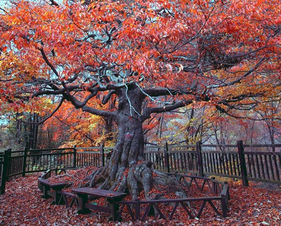 Cannot view this image? Visit: https://images.newsfilecorp.com/files/8722/282352_3dea90b2f4411ac9_003.jpg