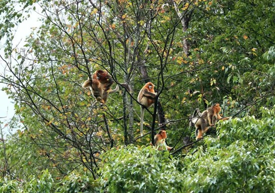 Cannot view this image? Visit: https://images.newsfilecorp.com/files/8722/282352_3dea90b2f4411ac9_004.jpg