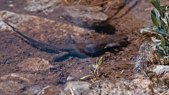 Cannot view this image? Visit: https://images.newsfilecorp.com/files/8722/282352_3dea90b2f4411ac9_005.jpg