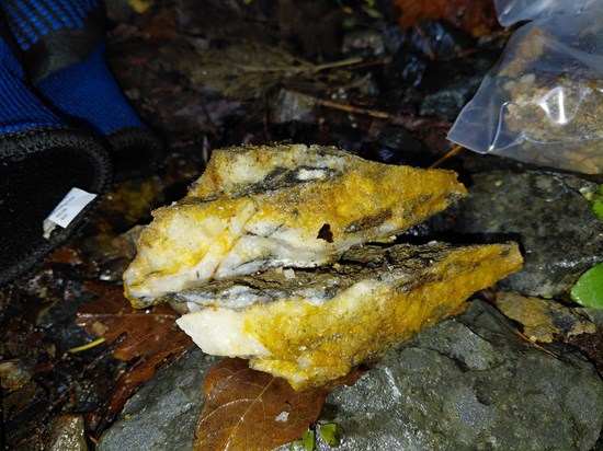 Cannot view this image? Visit: https://images.newsfilecorp.com/files/8796/276134_748834861464d891_004.jpg