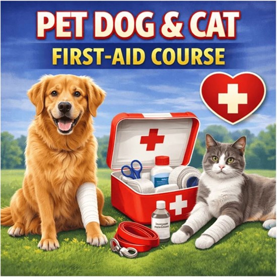 Cannot view this image? Visit: https://images.newsfilecorp.com/files/8814/281945_plentisoft_550.jpg