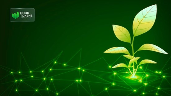 Cannot view this image? Visit: https://images.newsfilecorp.com/files/8833/281912_5937ac91b4d14b85_001.jpg