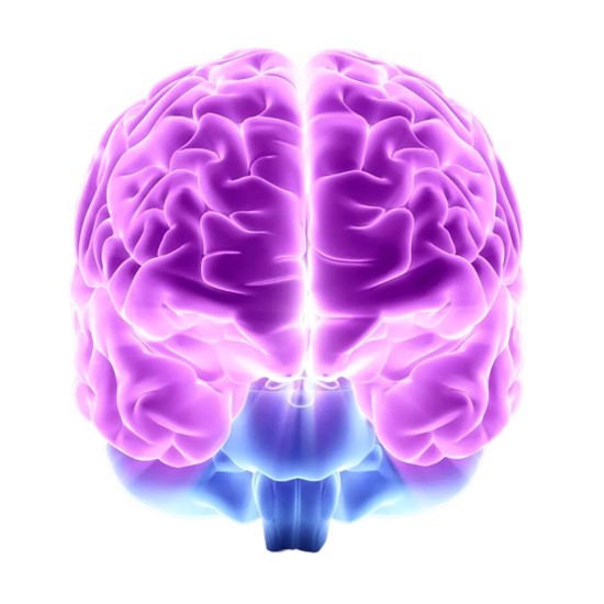Cannot view this image? Visit: https://images.newsfilecorp.com/files/8871/162129_6703b22cd4d3486e_001.jpg